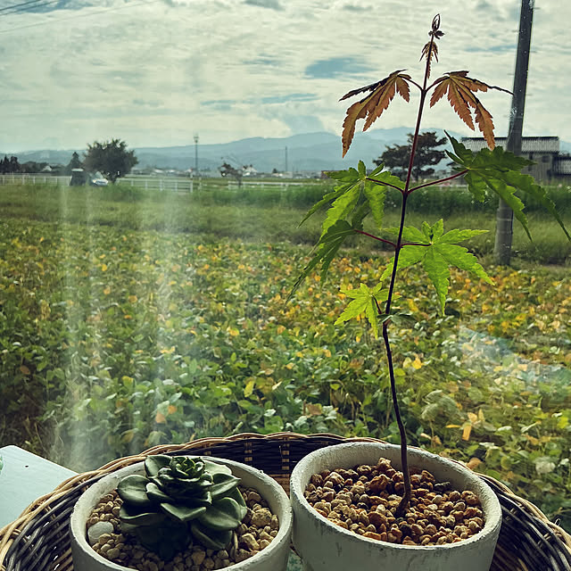 chiiyanさんの部屋
