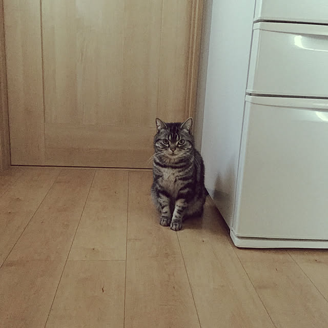 richanさんの実例写真