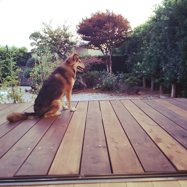 woodyさんの実例写真