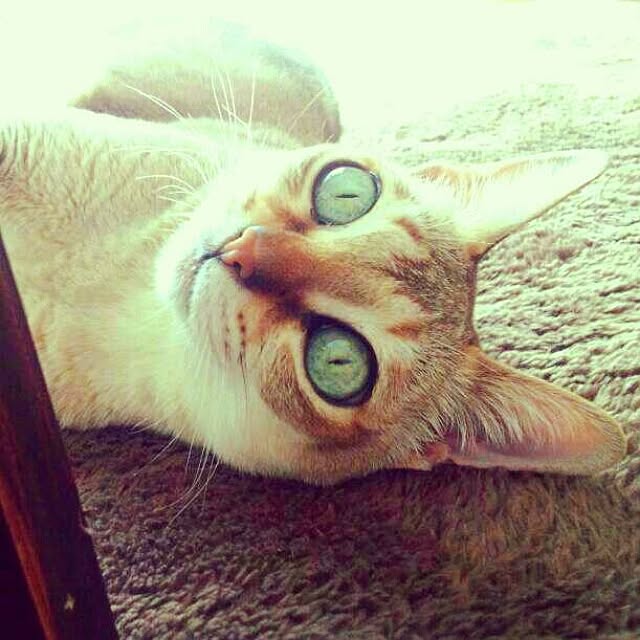 Jcさんの実例写真