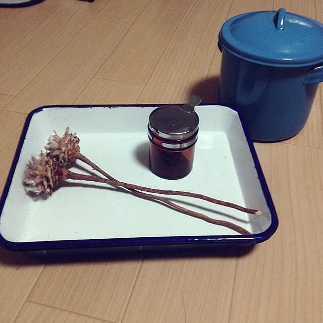 Megamouthさんの実例写真