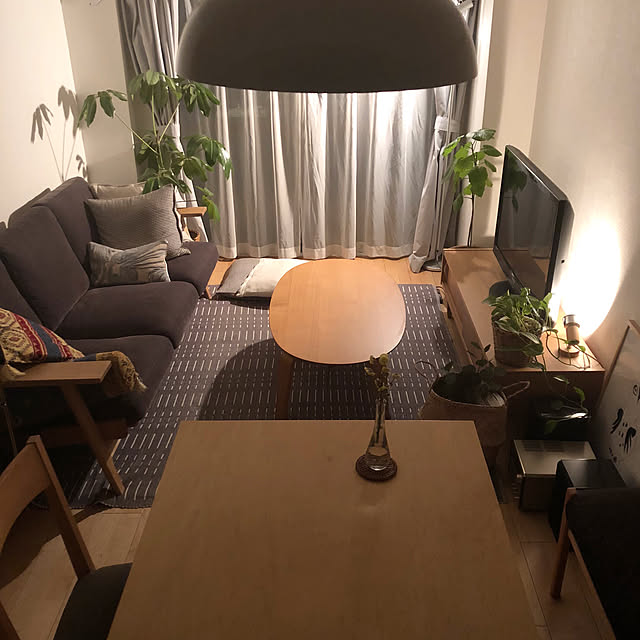 DailyRoomclip