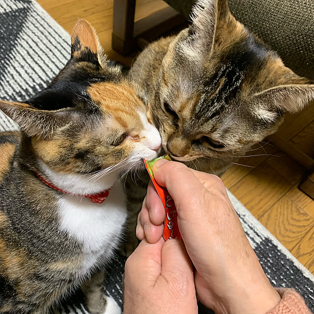 sayuuuさんの実例写真