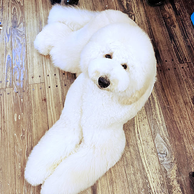 nackeyさんの実例写真