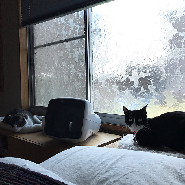 nejimakiさんの実例写真