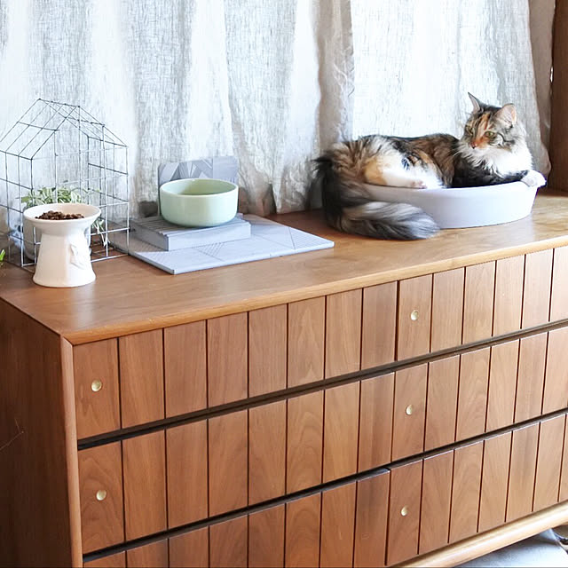 decorameowさんの実例写真