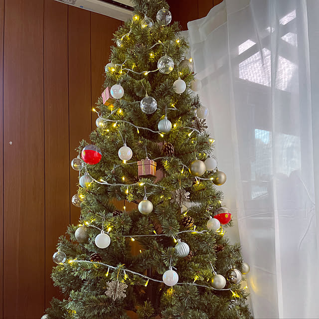 クリスマス/クリスマスディスプレイ/リビングのインテリア実例 - 2022-11-30 20:23:15