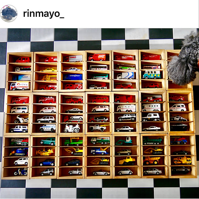 rinmayoさんの実例写真