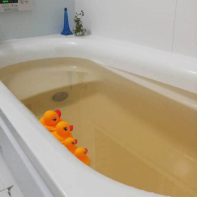 l..tomesanさんの実例写真