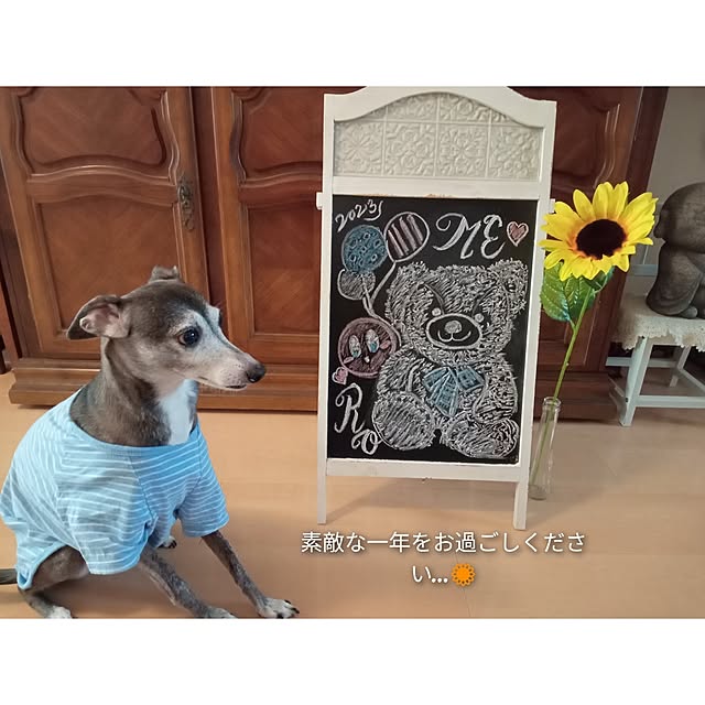 moruさんの部屋