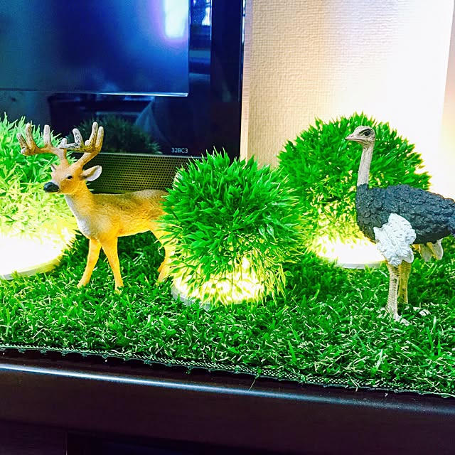 実例写真
