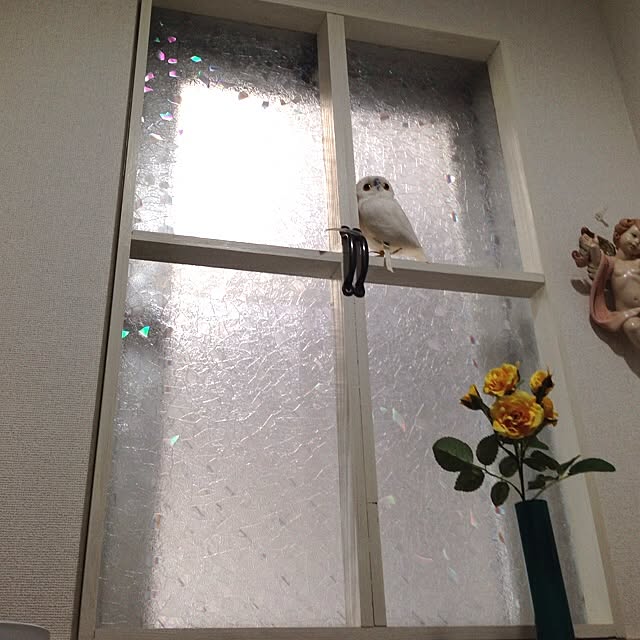 macoronKさんの実例写真