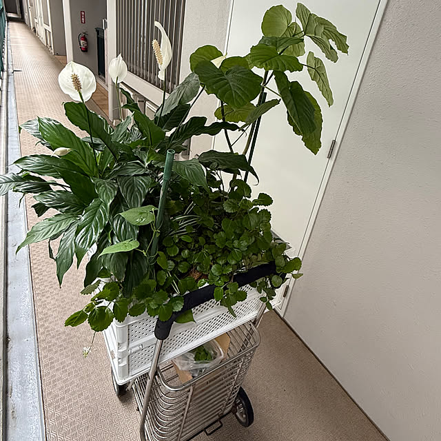 Aqettyさんの部屋