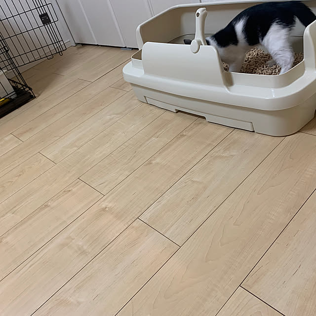 kkkさんの部屋
