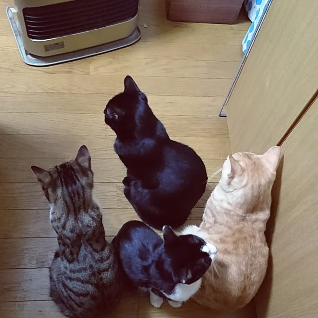 shiiiさんの実例写真
