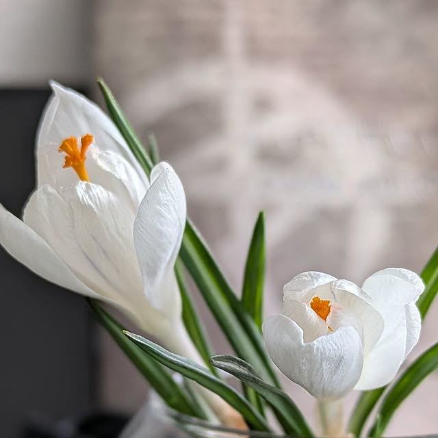 wyefuさんの実例写真