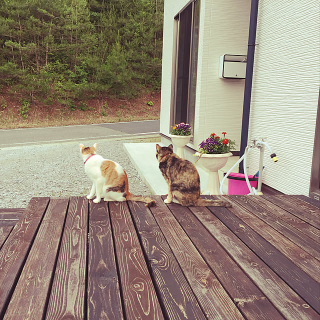 SSSさんの実例写真