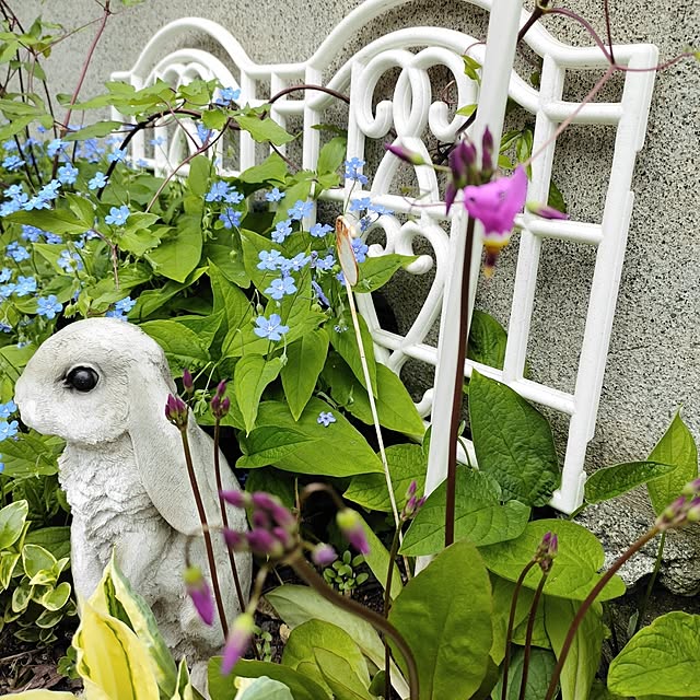 kiraさんの部屋