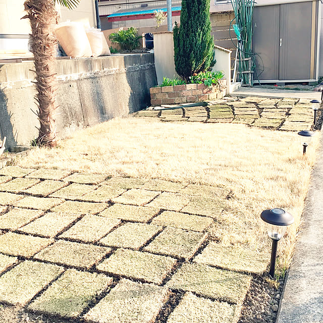 aiaiさんの実例写真
