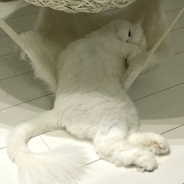 MArukOさんの実例写真