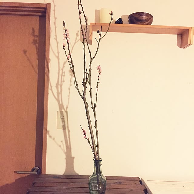 tomokoさんの実例写真