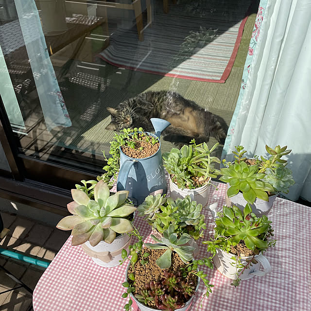 momocchiさんの実例写真