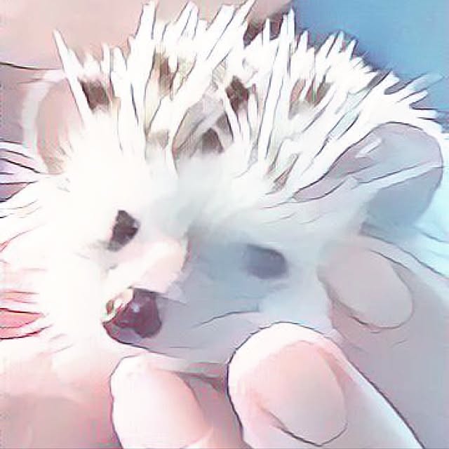 Sarionさんの実例写真