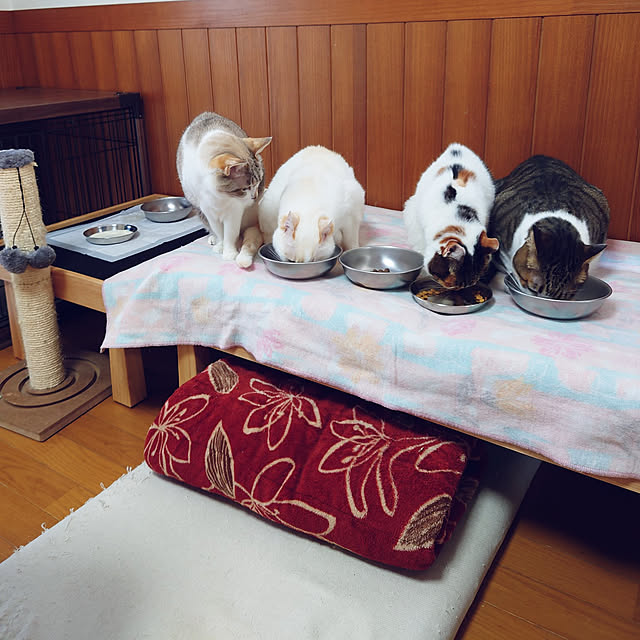 nachiさんの実例写真
