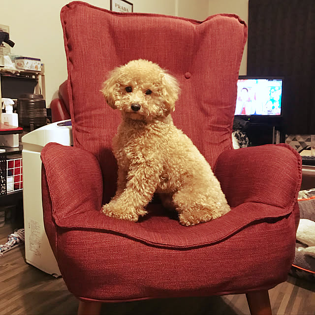 Karinさんの実例写真