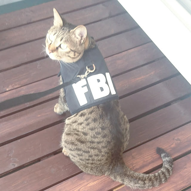 meguさんの実例写真