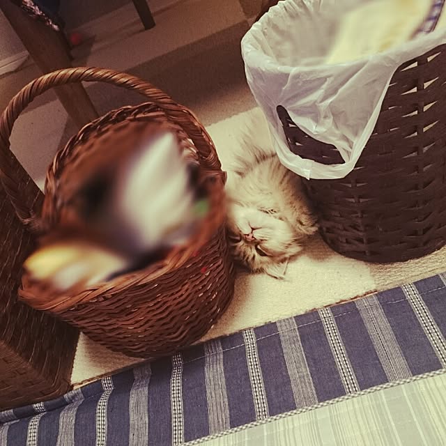 hanaさんの実例写真