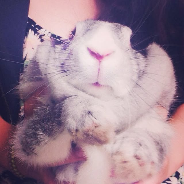 MARIさんの実例写真