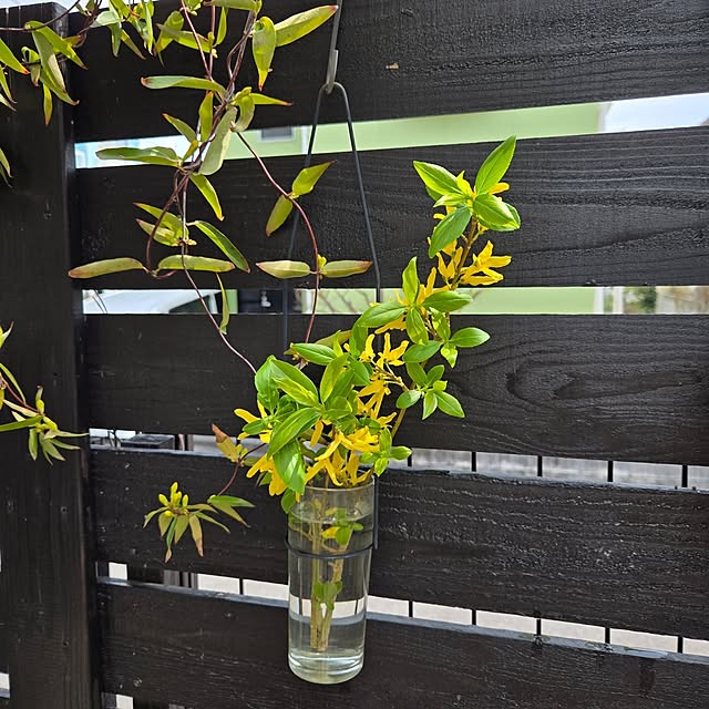 min_nimさんの実例写真