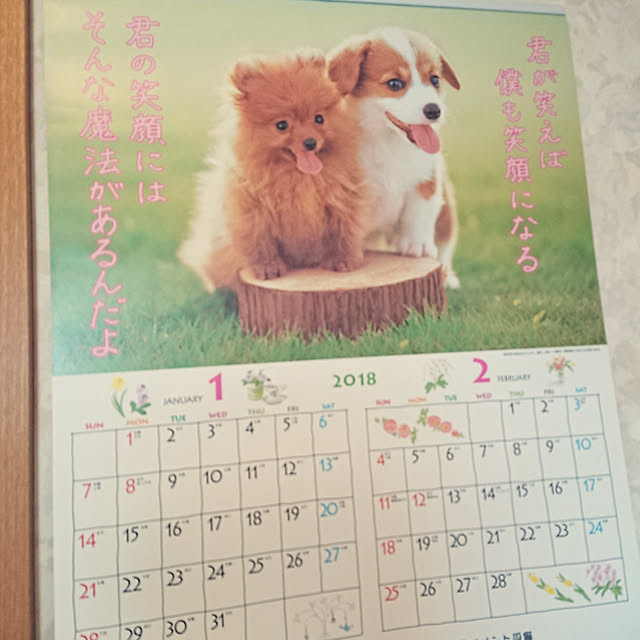 chanさんの実例写真
