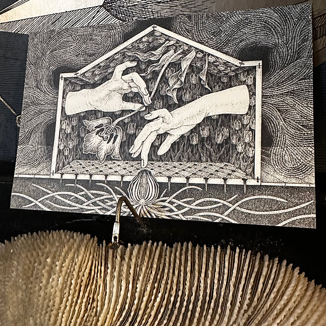 okyame-chanさんの部屋