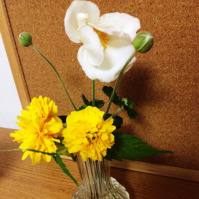 Shizukaさんの実例写真