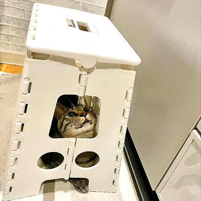 myuさんの実例写真