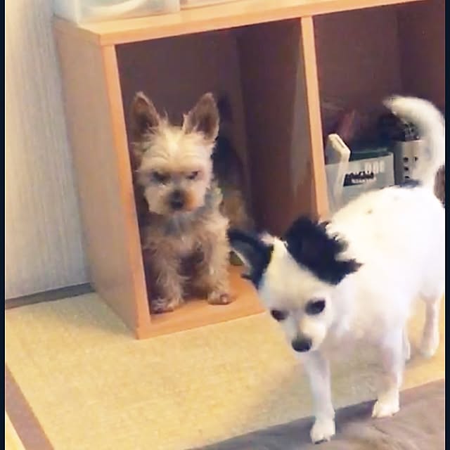 ohanaさんの実例写真