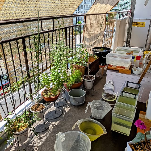 mi-saさんの部屋