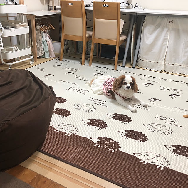 canmilmamaさんの実例写真