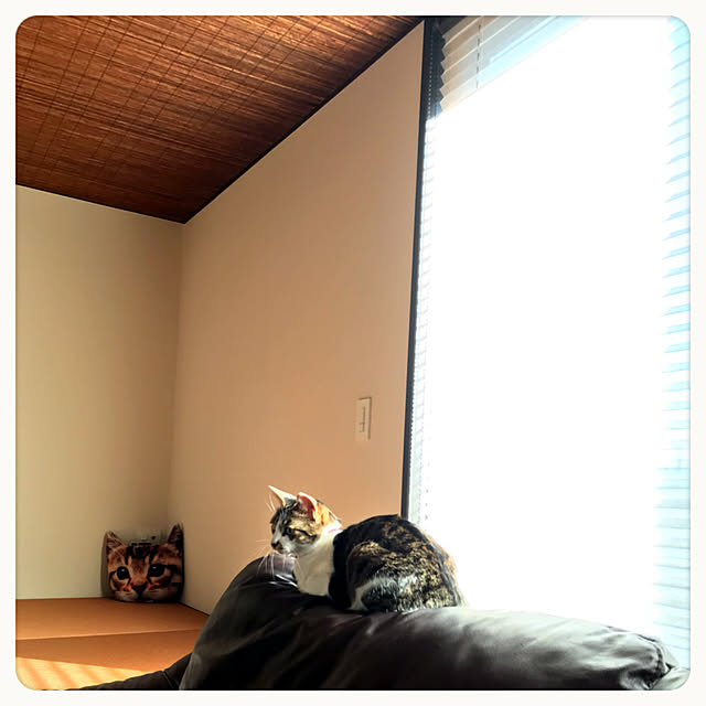 nsugi0710さんの実例写真