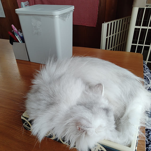 makaronさんの実例写真