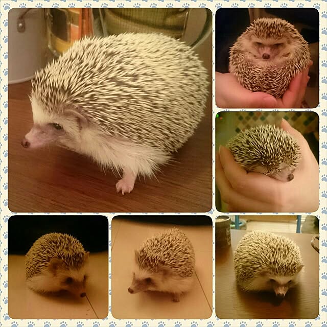 kuruさんの実例写真