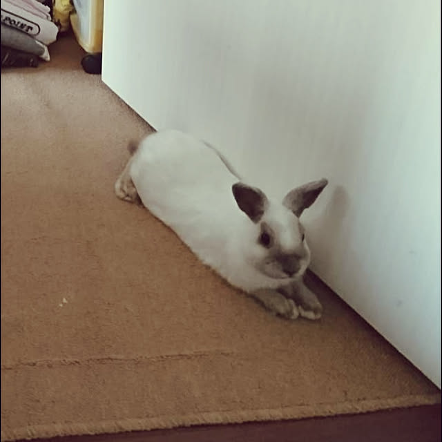 makiさんの実例写真