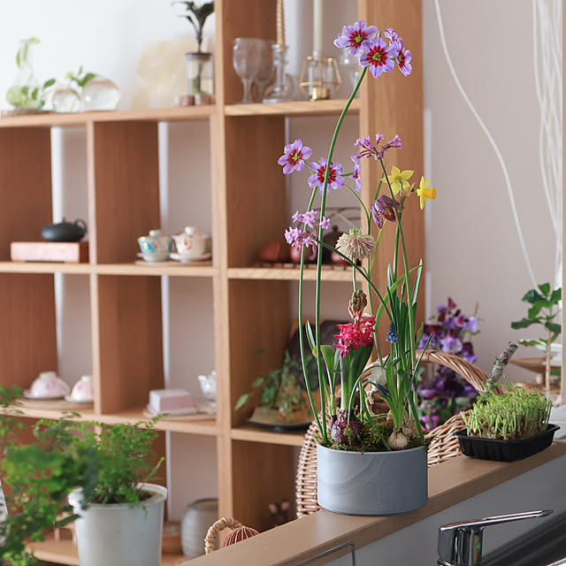 Summerさんの実例写真