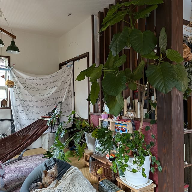 akiさんの部屋