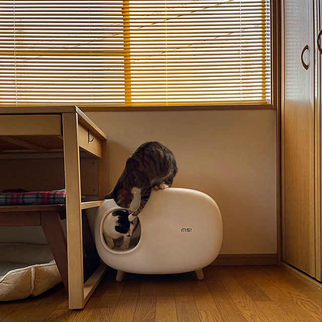 nobikoさんの実例写真