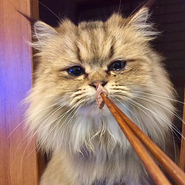 butachanさんの実例写真