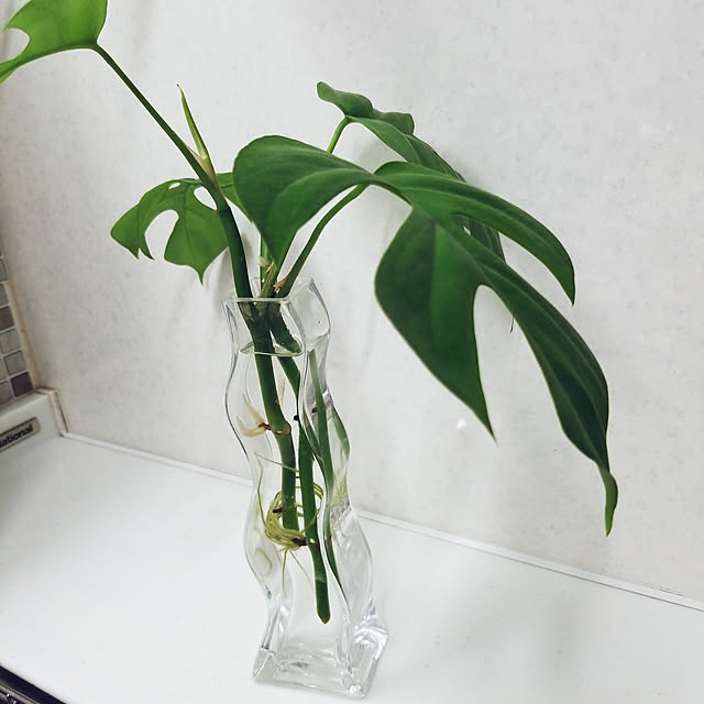 mimi828さんの実例写真