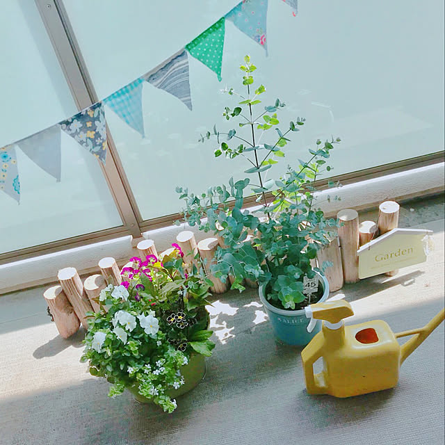 hachiさんの実例写真